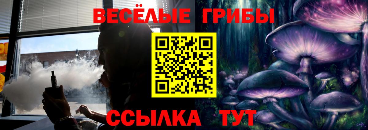 Псилоцибиновые грибы прущие грибы  Вход с VPN  Южноуральск 